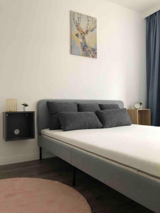 Quattro Casa Daire Sopron Dış mekan fotoğraf